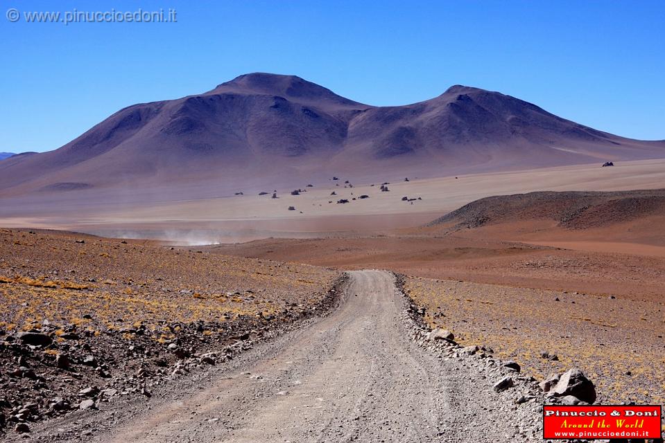 BOLIVIA 2 - Deserto di Dali - 2.jpg